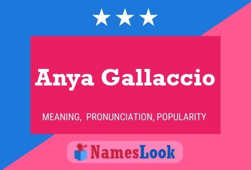 Póster del nombre Anya Gallaccio