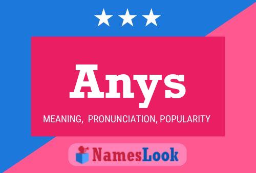 Póster del nombre Anys