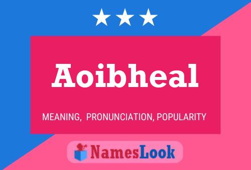 Póster del nombre Aoibheal