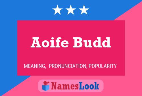 Póster del nombre Aoife Budd