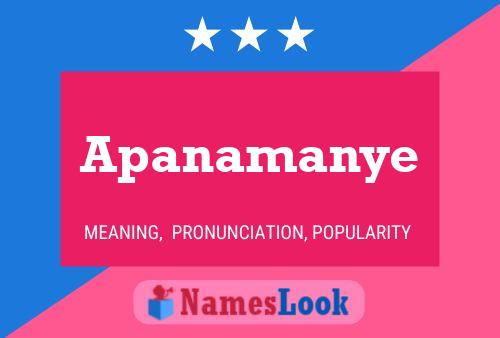 Póster del nombre Apanamanye