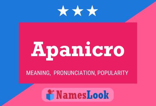 Póster del nombre Apanicro