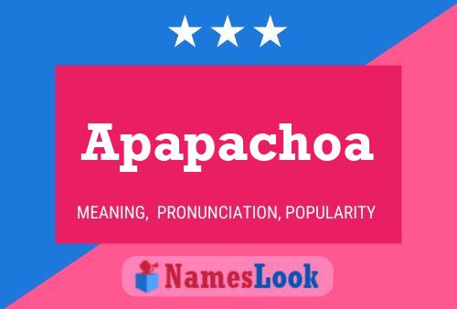 Póster del nombre Apapachoa