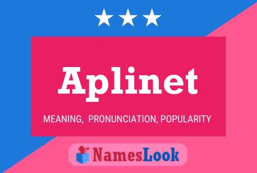 Póster del nombre Aplinet