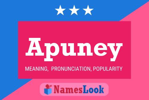 Póster del nombre Apuney