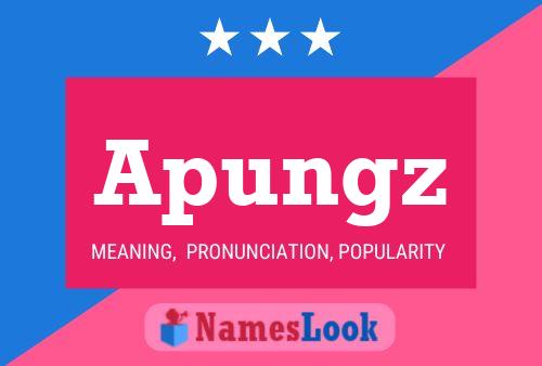 Póster del nombre Apungz