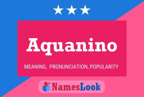 Póster del nombre Aquanino