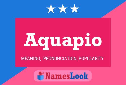 Póster del nombre Aquapio