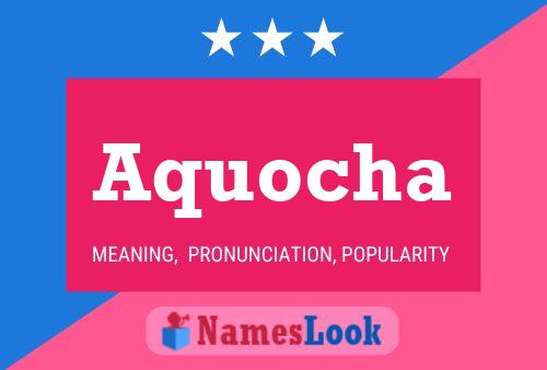 Póster del nombre Aquocha