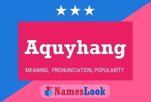 Póster del nombre Aquyhang