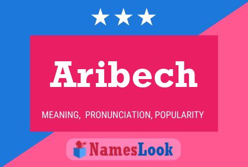 Póster del nombre Aribech