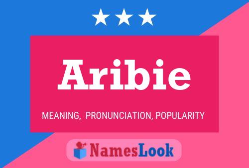 Póster del nombre Aribie