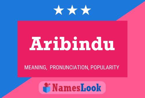 Póster del nombre Aribindu