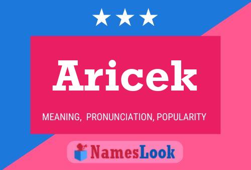 Póster del nombre Aricek