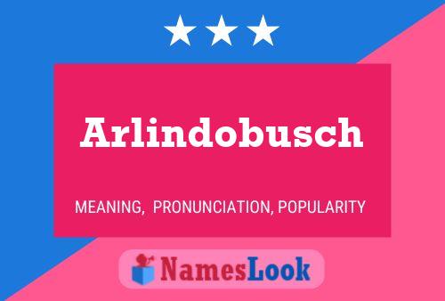 Póster del nombre Arlindobusch