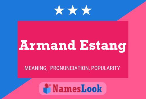 Póster del nombre Armand Estang