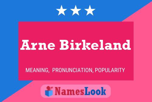 Póster del nombre Arne Birkeland