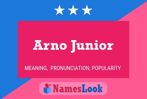 Póster del nombre Arno Junior