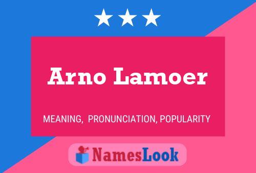 Póster del nombre Arno Lamoer