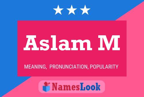 Póster del nombre Aslam M