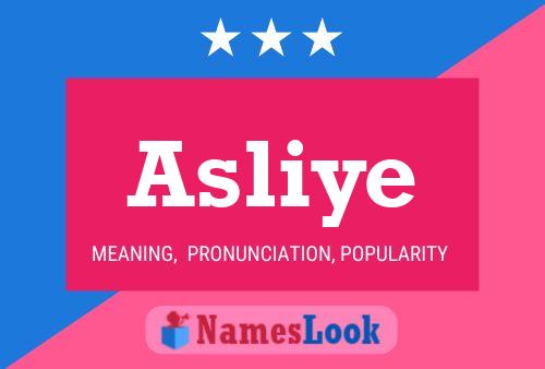 Póster del nombre Asliye