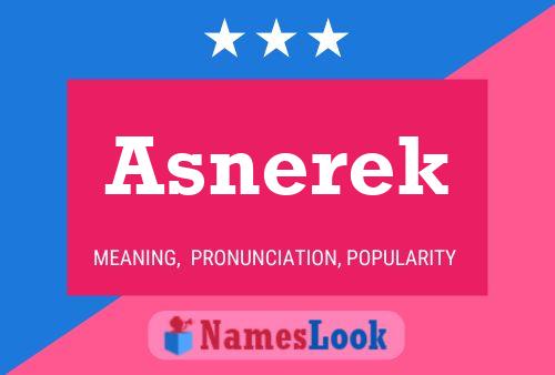 Póster del nombre Asnerek