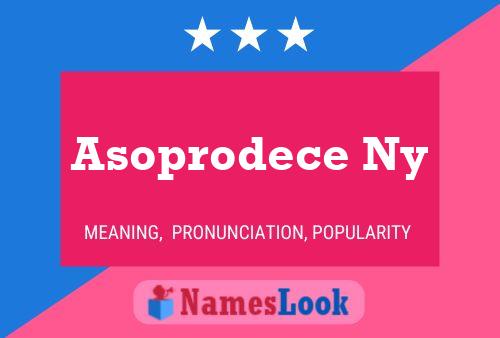 Póster del nombre Asoprodece Ny