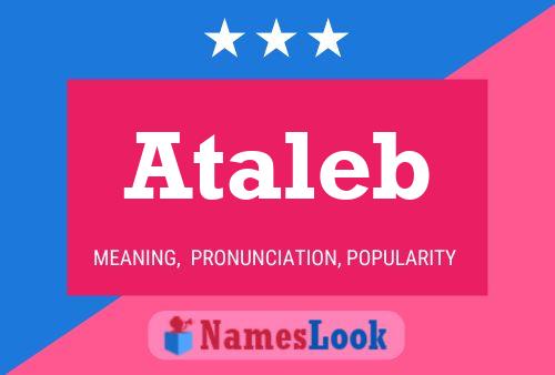 Póster del nombre Ataleb