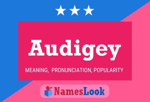 Póster del nombre Audigey