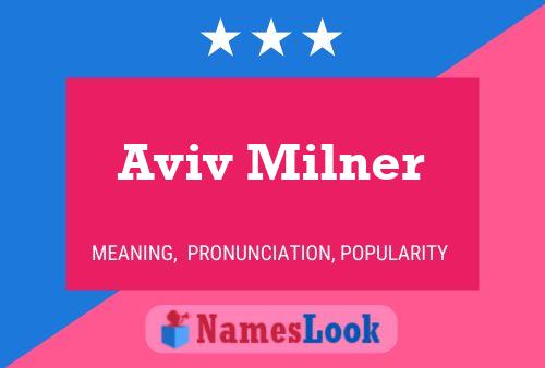 Póster del nombre Aviv Milner