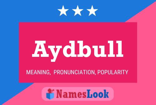 Póster del nombre Aydbull