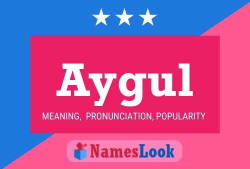 Póster del nombre Aygul