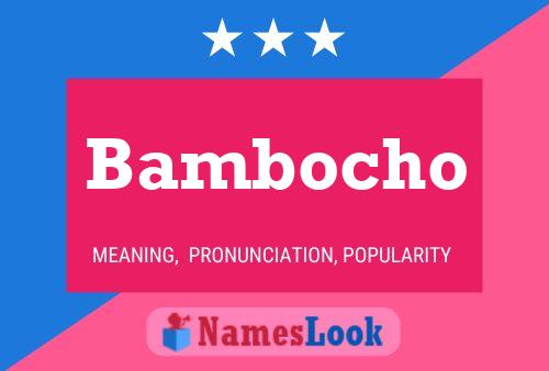 Póster del nombre Bambocho