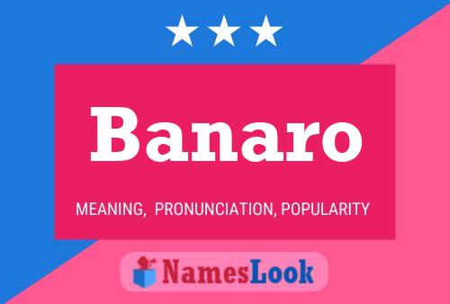 Póster del nombre Banaro