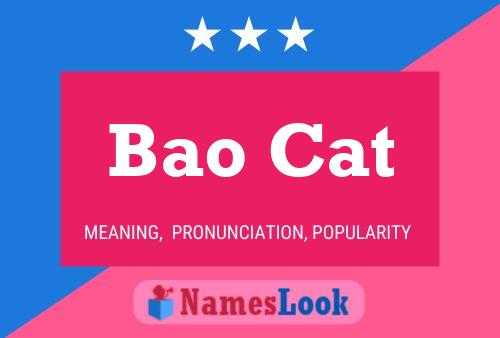 Póster del nombre Bao Cat