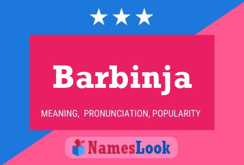 Póster del nombre Barbinja