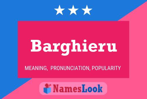 Póster del nombre Barghieru