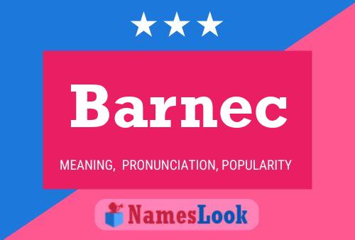 Póster del nombre Barnec