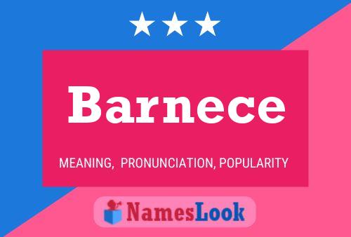 Póster del nombre Barnece