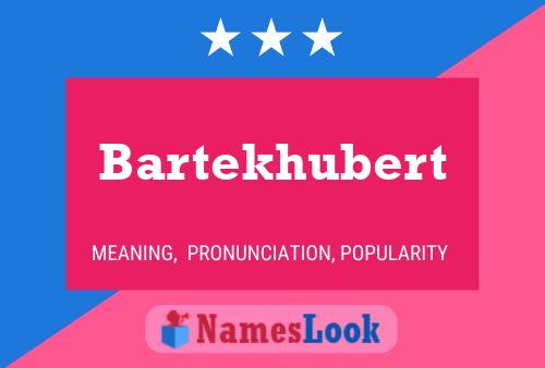 Póster del nombre Bartekhubert