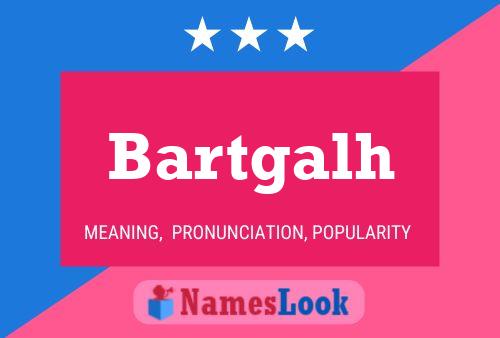 Póster del nombre Bartgalh