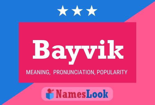 Póster del nombre Bayvik