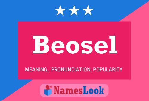 Póster del nombre Beosel