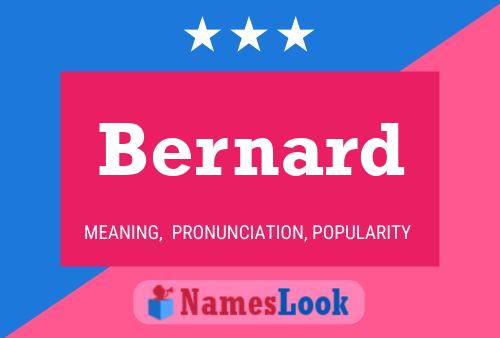 Póster del nombre Bernard