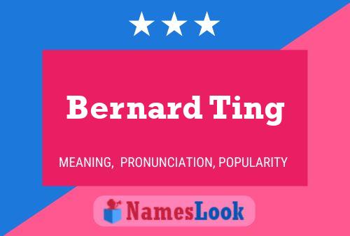 Póster del nombre Bernard Ting