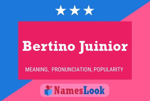 Póster del nombre Bertino Juinior