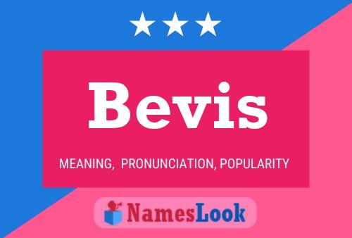 Póster del nombre Bevis