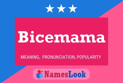 Póster del nombre Bicemama