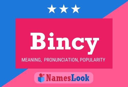 Póster del nombre Bincy