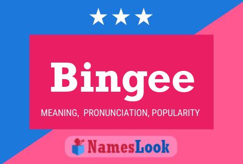 Póster del nombre Bingee